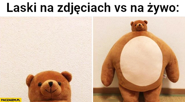 
    Laski na zdjęciach vs na żywo gruby miś sama głowa