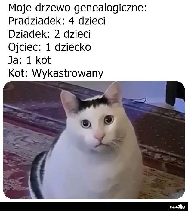 
    Ród się kończy 