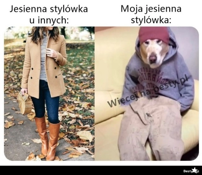 
    Przynajmniej wygodna 