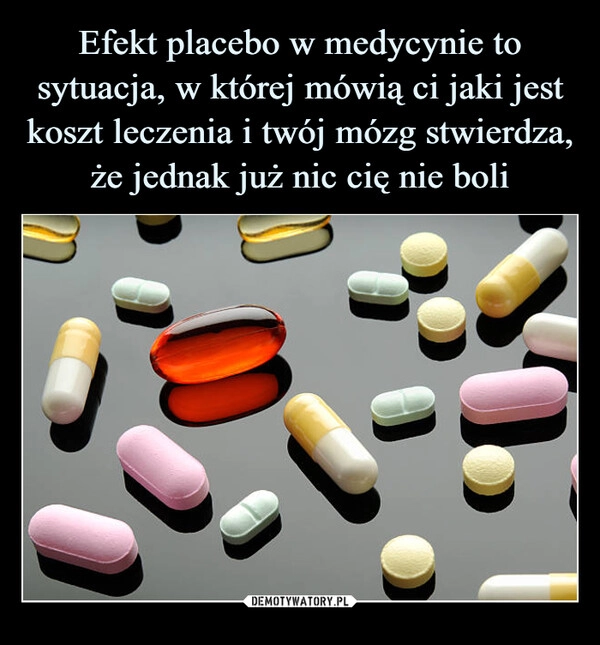 
    Efekt placebo w medycynie to sytuacja, w której mówią ci jaki jest koszt leczenia i twój mózg stwierdza, że jednak już nic cię nie boli