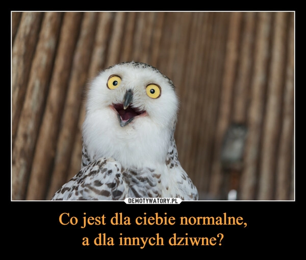 
    Co jest dla ciebie normalne,
a dla innych dziwne?