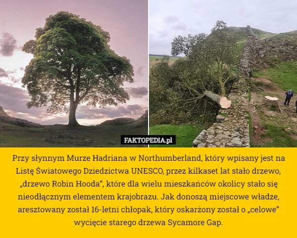 
    Przy słynnym Murze Hadriana w Northumberland, który wpisany jest na Listę