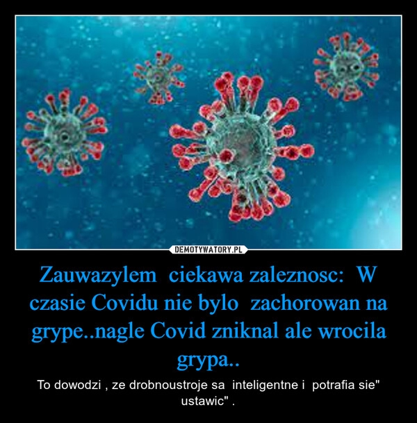 
    Zauwazylem  ciekawa zaleznosc:  W czasie Covidu nie bylo  zachorowan na grype..nagle Covid zniknal ale wrocila grypa..