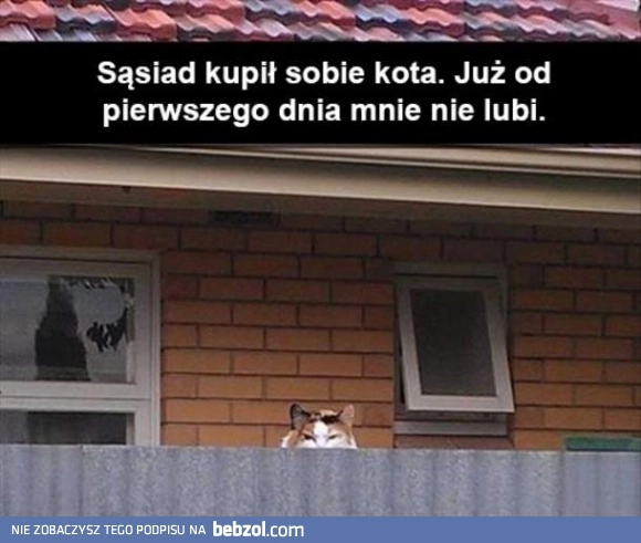 
    Sąsiad i jego kotek