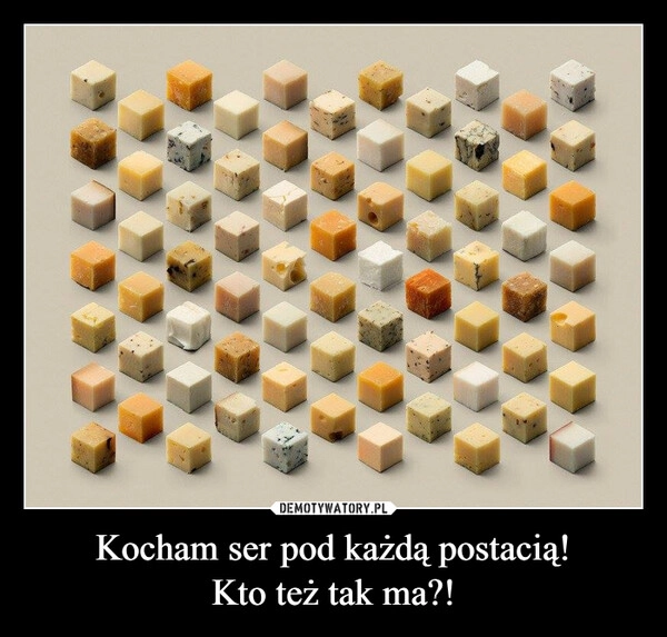 
    Kocham ser pod każdą postacią!
Kto też tak ma?!