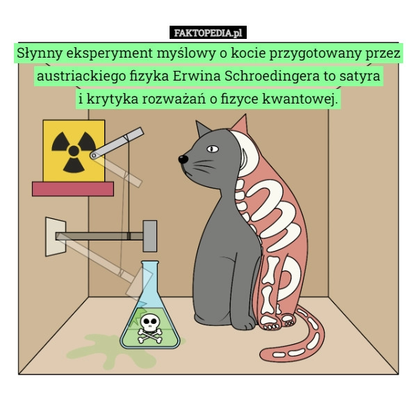 
    Słynny eksperyment myślowy o kocie przygotowany przez austriackiego fizyka