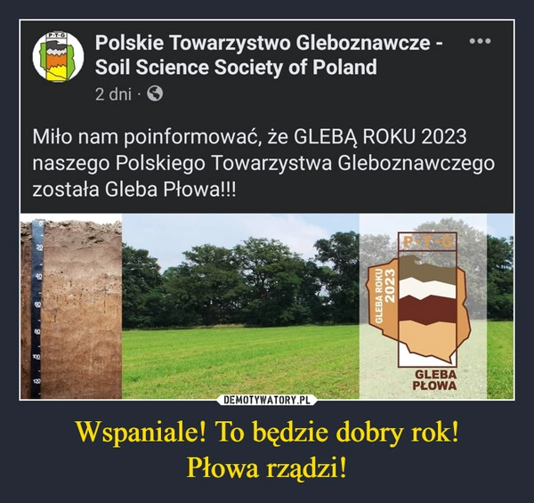 
    Wspaniale! To będzie dobry rok!
Płowa rządzi! 