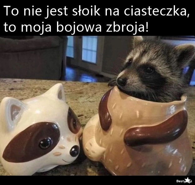 
    Bojowa zbroja 