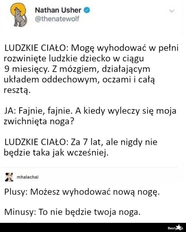 
    Ludzkie ciało 