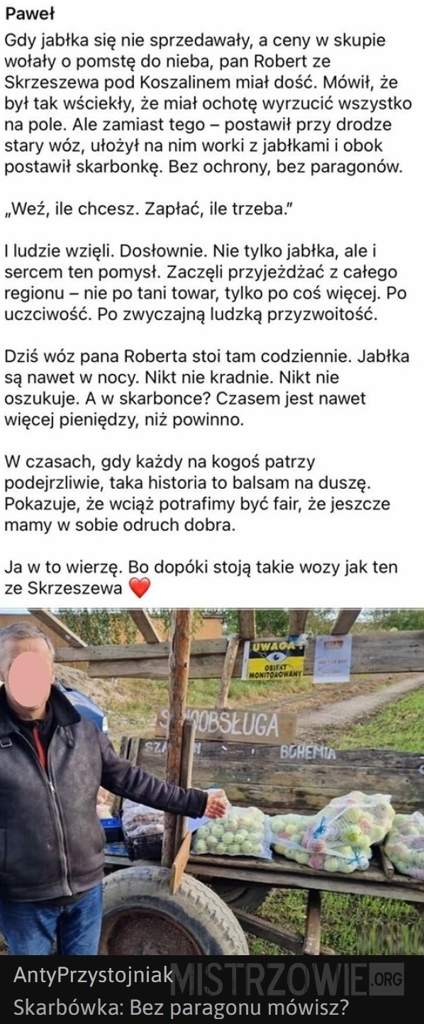 
    Jabłka