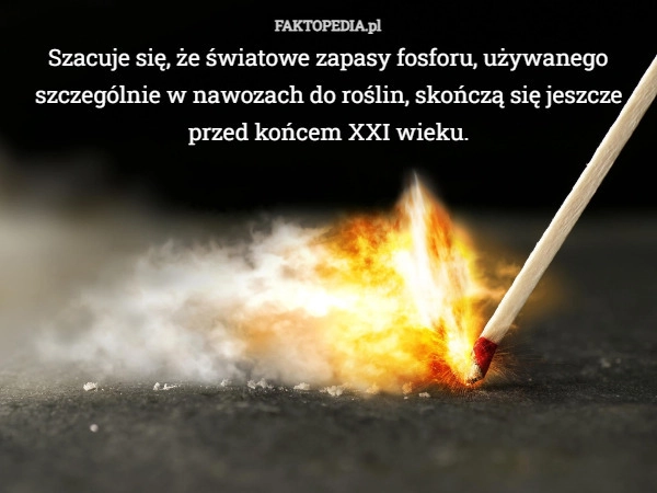 
    Szacuje się, że światowe zapasy fosforu, używanego szczególnie w nawozach