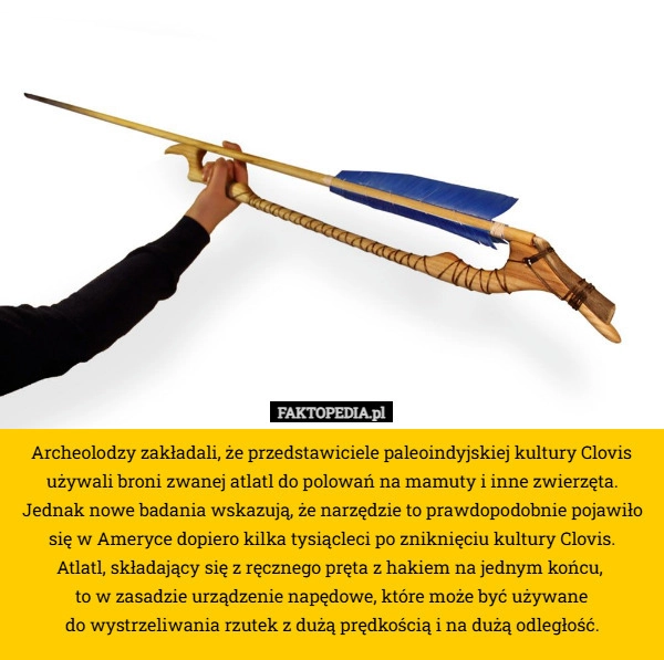 
    Archeolodzy zakładali, że przedstawiciele paleoindyjskiej kultury Clovis