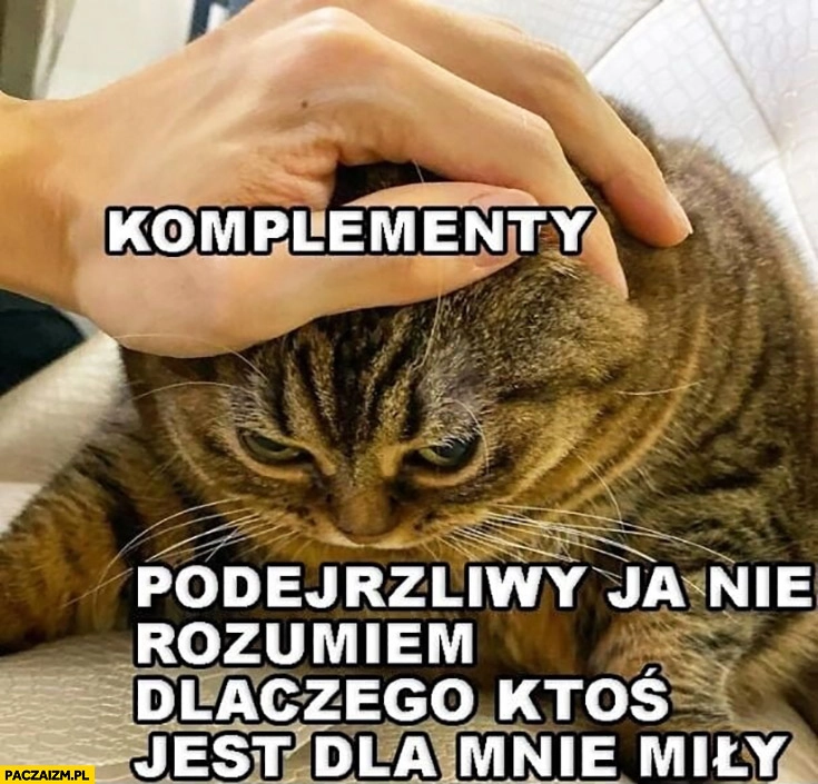 
    Kot komplementy podejrzliwy ja nie rozumiem dlaczego ktoś jest dla mnie miły
