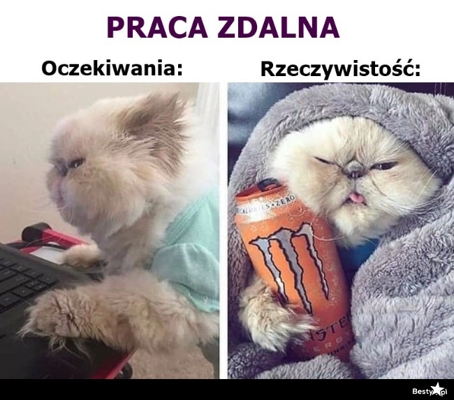 
    Praca zdalna 