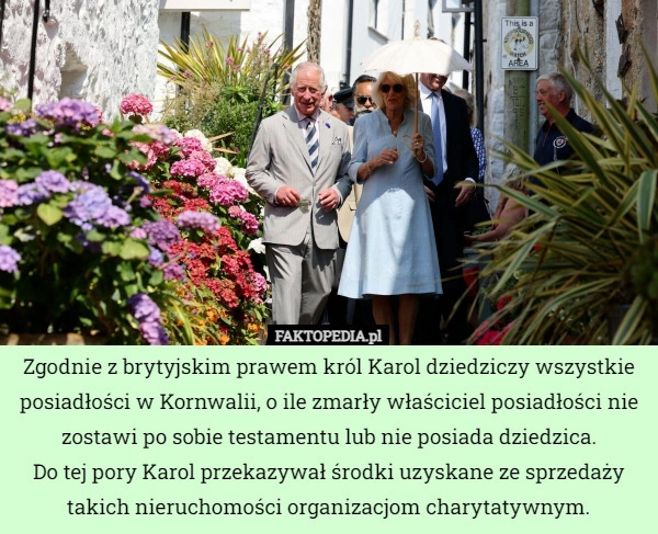 
    
			Zgodnie z brytyjskim prawem król Karol dziedziczy wszystkie posiadłości...					