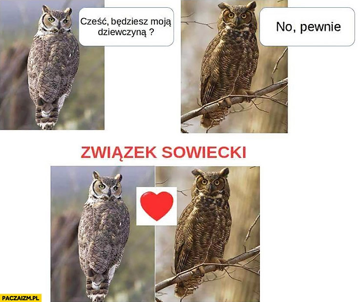 
    Sowy cześć będziesz moją dziewczyną? No pewnie Związek Sowiecki