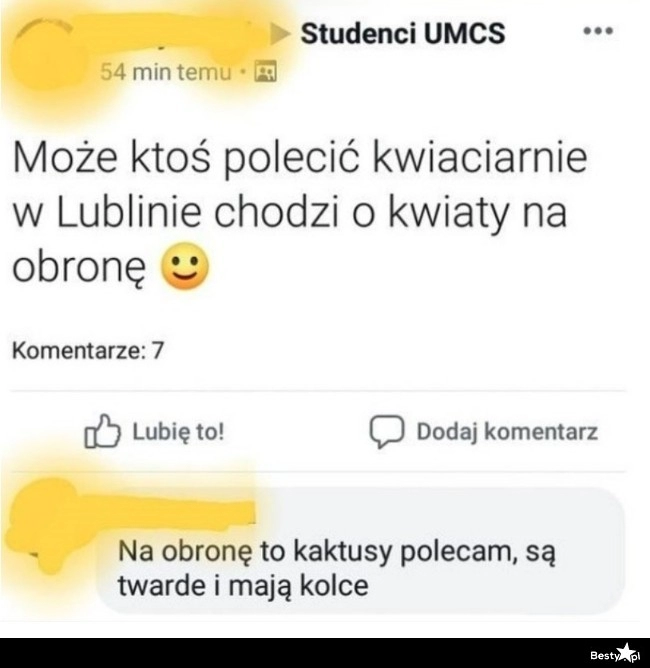 
    Kwiaty na obronę 