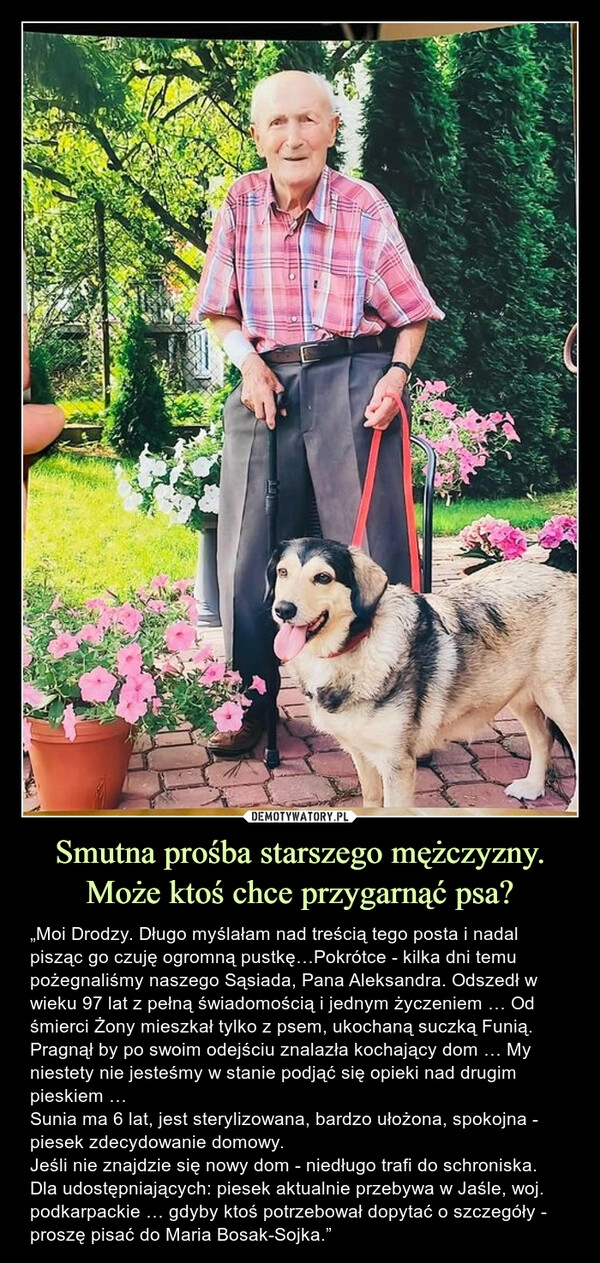 
    Smutna prośba starszego mężczyzny. Może ktoś chce przygarnąć psa? 