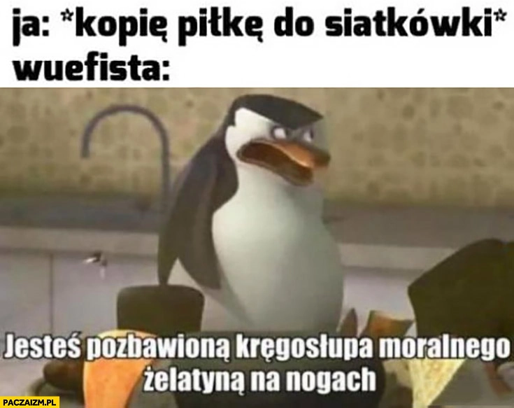 
    Ja: kopię piłkę do siatkówki, wuefista: jesteś pozbawioną kręgosłupa moralnego żelatyną na nogach