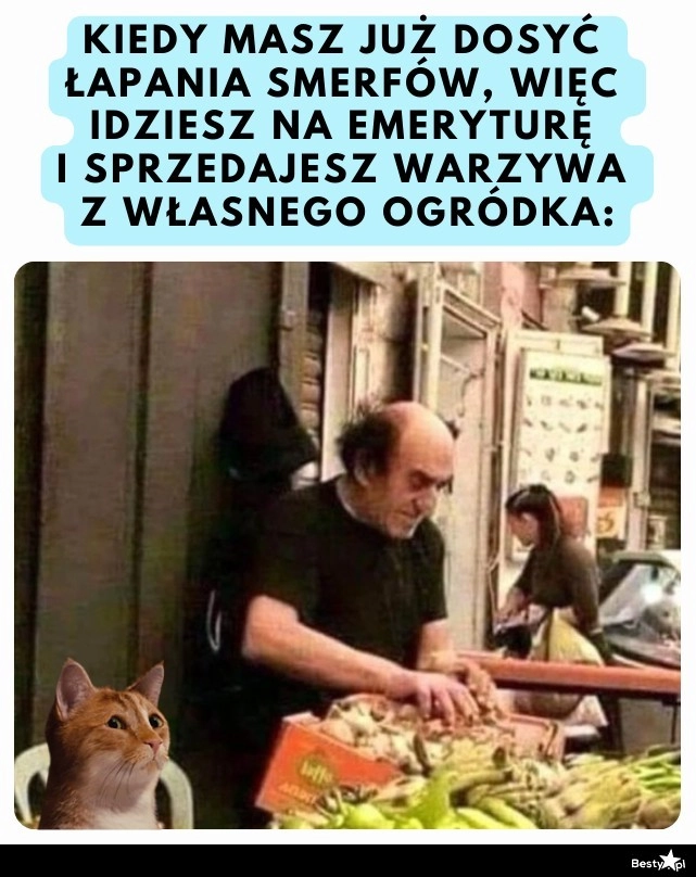 
    O ja smerfuję! 