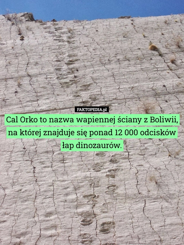 
    Cal Orko to nazwa wapiennej ściany z Boliwii, na której znajduje się ponad