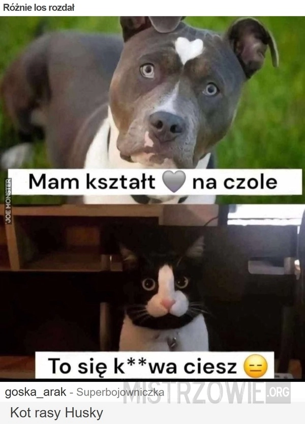 
    Różnie los rozdał