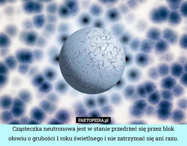 
    Cząsteczka neutronowa jest w stanie przedrzeć się przez blok ołowiu o grubości