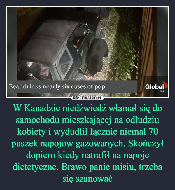 
    W Kanadzie niedźwiedź włamał się do samochodu mieszkającej na odludziu kobiety i wydudlił łącznie niemal 70 puszek napojów gazowanych. Skończył dopiero kiedy natrafił na napoje dietetyczne. Brawo panie misiu, trzeba się szanować