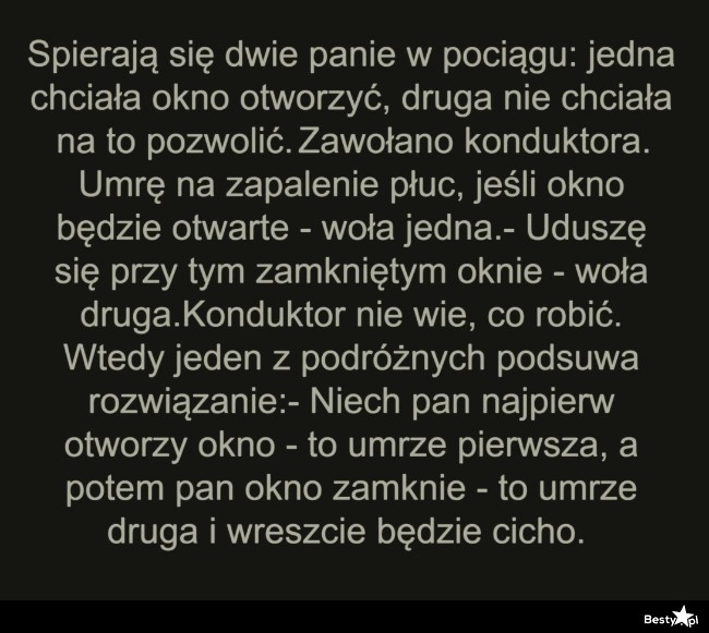 
    Dwie panie w pociągu 