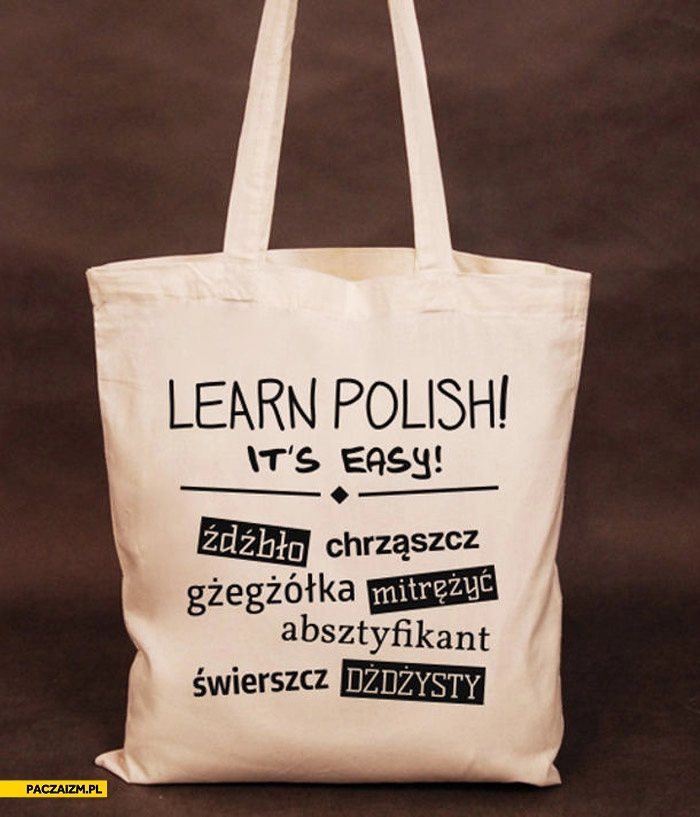 
    Learn Polish it’s easy