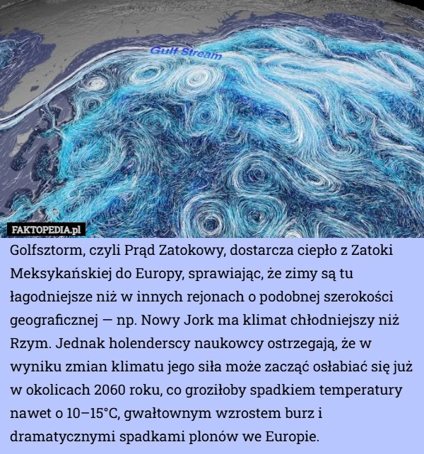 
    Golfsztorm, czyli Prąd Zatokowy, dostarcza ciepło z Zatoki Meksykańskiej