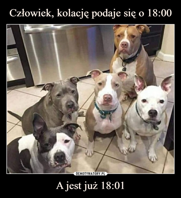 
    Człowiek, kolację podaje się o 18:00 A jest już 18:01 