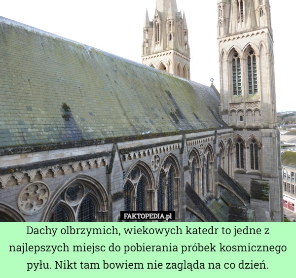 
    Dachy olbrzymich, wiekowych katedr to jedne z najlepszych miejsc do pobierania