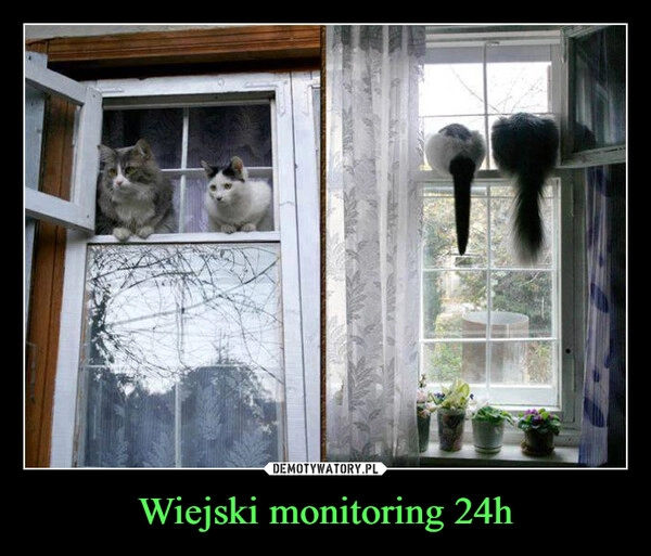 
    Wiejski monitoring 24h