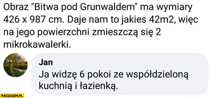 
    Obraz bitwa pod Grunwaldem ma 42 mkw wiec na jego powierzchni mieszczą się 2 mikrokawalerki, ja widzę 6 pokoi ze współdzieloną kuchnią i łazienką