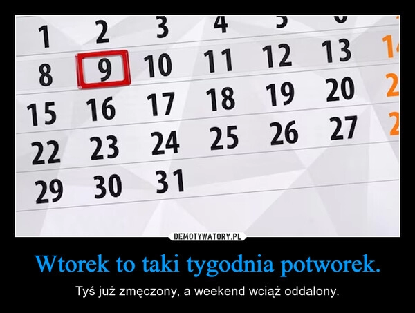 
    Wtorek to taki tygodnia potworek.