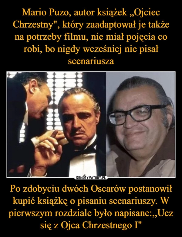 
    Mario Puzo, autor książek „Ojciec Chrzestny", który zaadaptował je także na potrzeby filmu, nie miał pojęcia co robi, bo nigdy wcześniej nie pisał scenariusza Po zdobyciu dwóch Oscarów postanowił kupić książkę o pisaniu scenariuszy. W pierwszym rozdziale było napisane:,,Ucz się z Ojca Chrzestnego I"