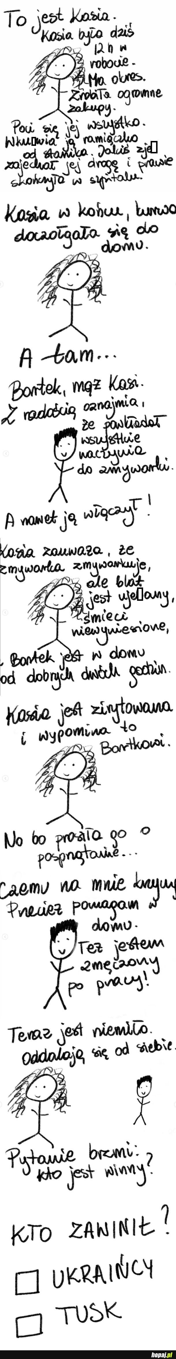 
    Kto zawinił