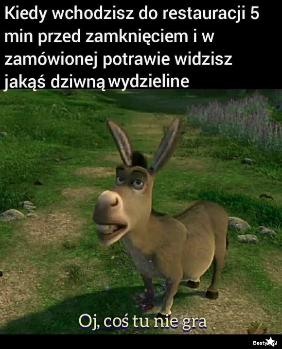 
    Zemsta kucharza 