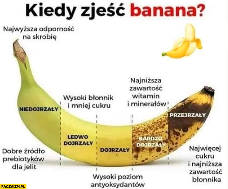 
    Kiedy zjeść banana infografika niedojrzały, dojrzały zielony żółty czarny