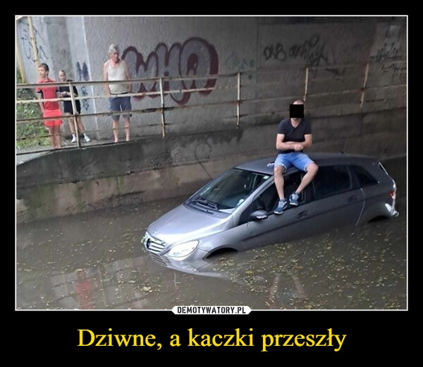 
    Dziwne, a kaczki przeszły