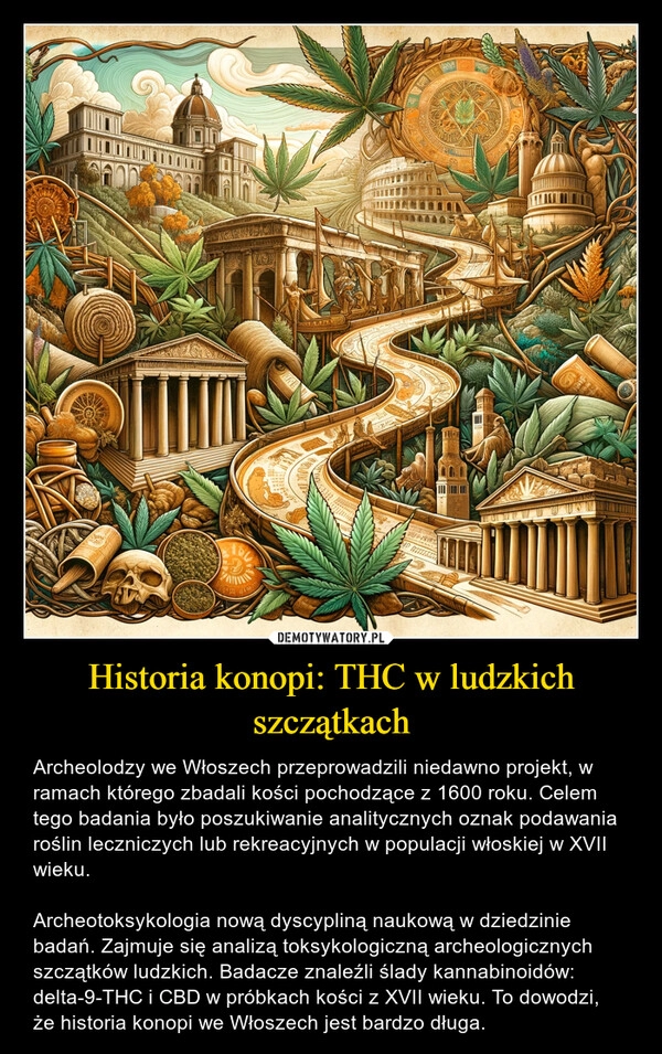 
    Historia konopi: THC w ludzkich szczątkach