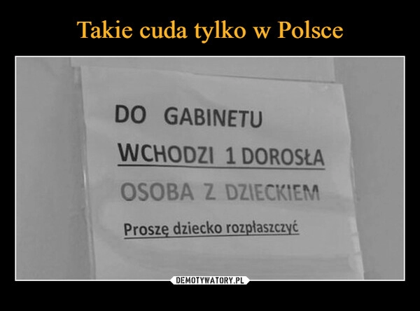 
    Takie cuda tylko w Polsce 