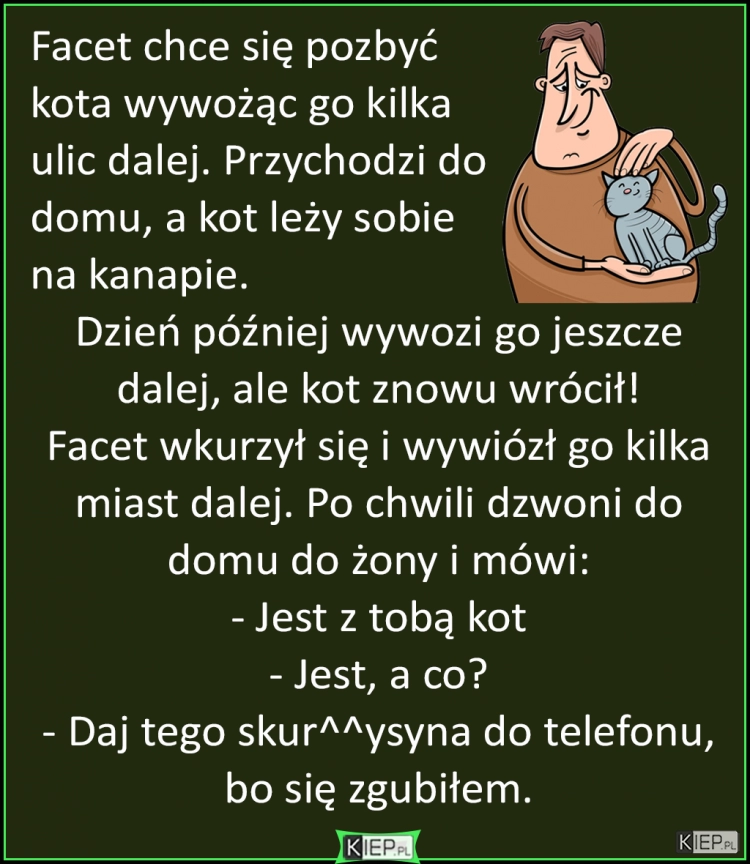 
    Facet miał już dość kota i postanowił się go pozbyć...