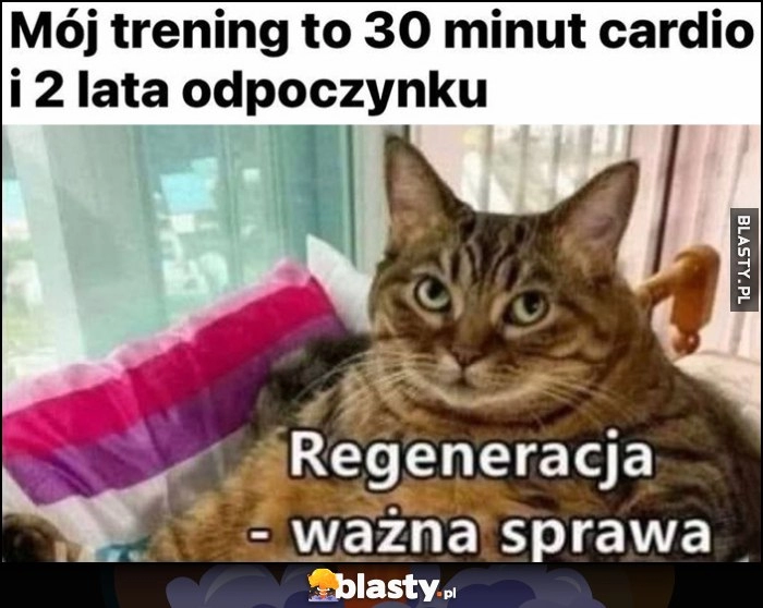 
    Gruby kot mój trening to 30 minut cardio i 2 lata odpoczynku, regeneracja ważna sprawa