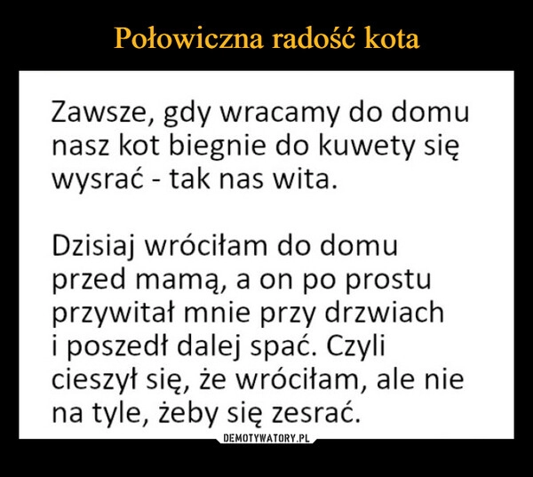 
    Połowiczna radość kota