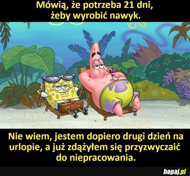 
    Szybko weszło w nawyk