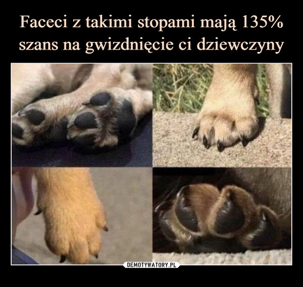 
    Faceci z takimi stopami mają 135% szans na gwizdnięcie ci dziewczyny