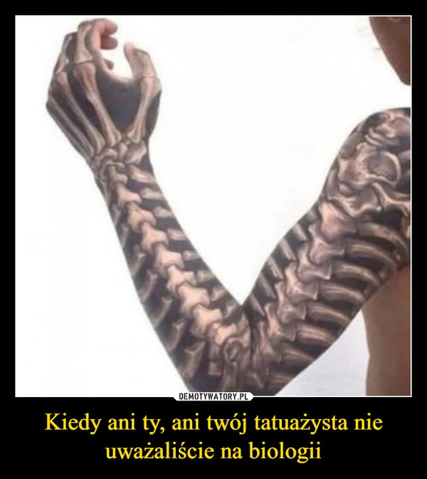 
    Kiedy ani ty, ani twój tatuażysta nie uważaliście na biologii