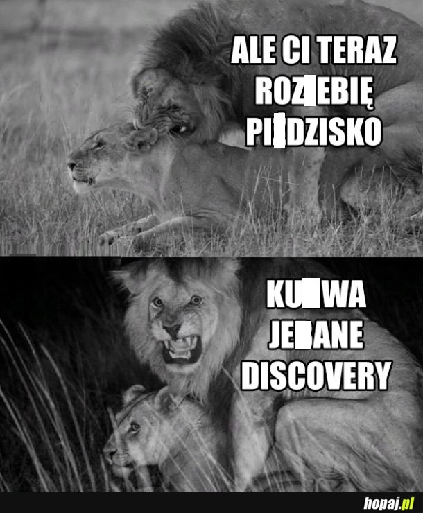 Podglądacze